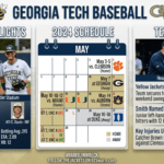georgia tech baseball